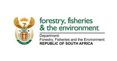 Department of Forestry, Fisheries and the Environment(DFFE) is Hiring a Data Analyst: Sector Enforcement for a Three Year Contract Earning R359 517 Per Annum Plus Benefits