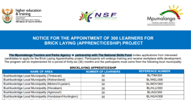 Three Hundred(300) Brick Laying Apprenticeship Learners Required by The Mpumalanga Tourism and Parks Agency in Partnership with The National Skills Fund(NSF)