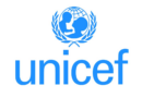 UNICEF South Africa is Hiring For Four(4) National Internship Programme Positions - Data Capturers