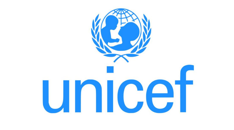 UNICEF South Africa is Hiring For Four(4) National Internship Programme Positions - Data Capturers