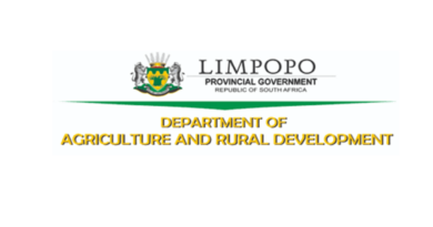 An Opportunity To Earn R444 036 Per Annum As An IT Administrator At Limpopo Department of Agriculture and Rural Development