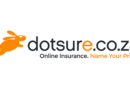 Apply To The Dotsure South Africa Project Manager Internship